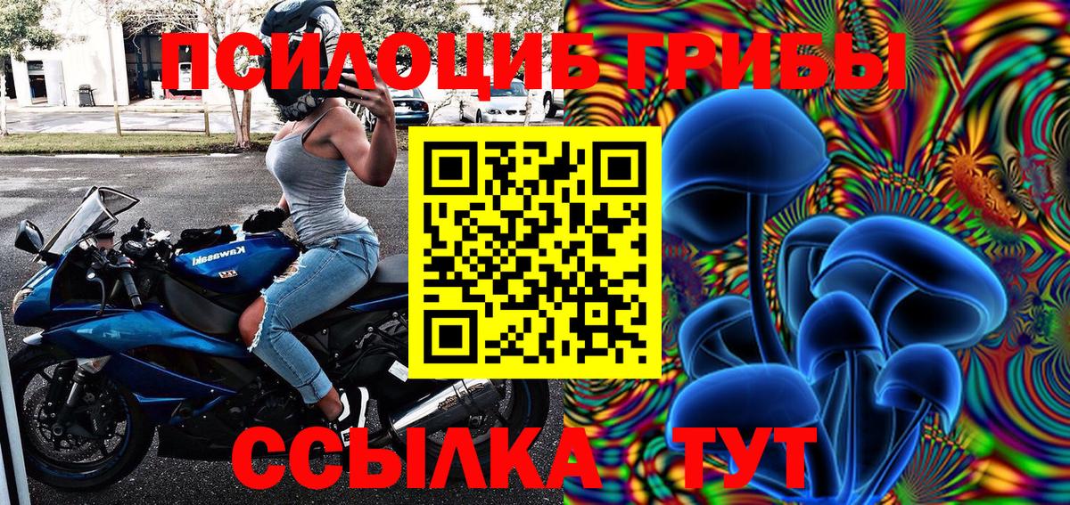 Псилоцибиновые грибы GOLDEN TEACHER Серов