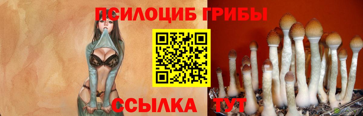 Галлюциногенные грибы Magic Shrooms  Вход с VPN  Галлюциногенные грибы Psilocybe  Серов 